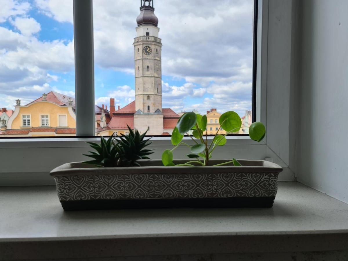 Apartament W Rynku For You Болеславец Екстериор снимка
